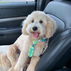 Meet your Posher, Olivia